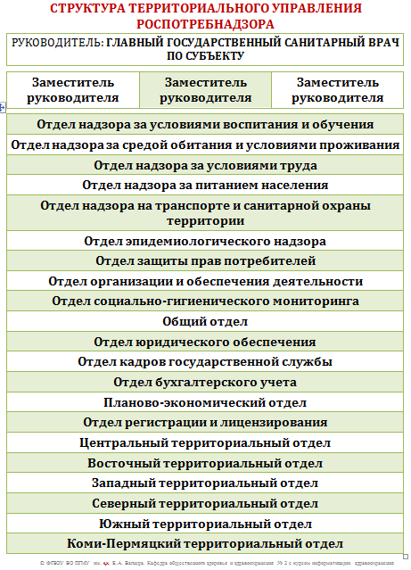 Рассчитайте стоимость оформления лицензии ИИИ