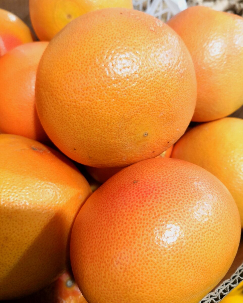 Апельсин. Фото из личной галереи 