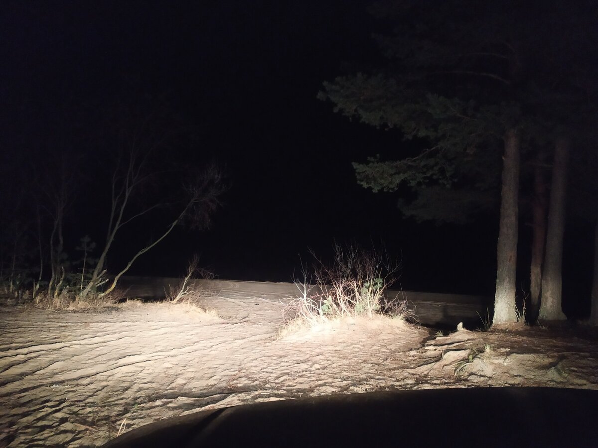 Берег Ладоги бесснежной декабрьской ночью) 