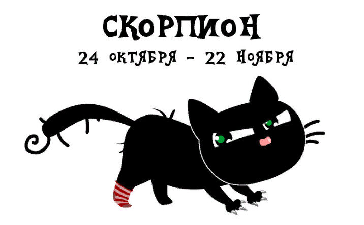 Картинка из интернета