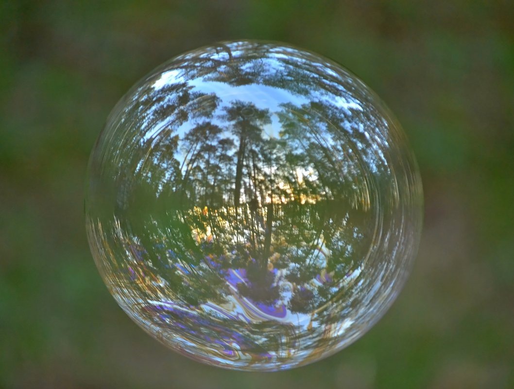 Источник картинки https://s3.nat-geo.ru/images/2019/5/15/3371a04b745c421c9148d806a8d1136e.max-1200x800.jpg