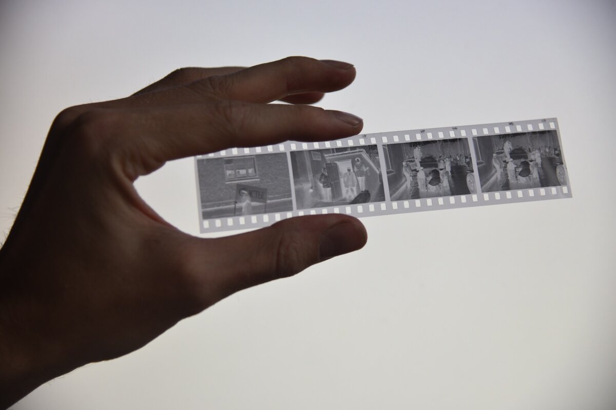 Оригинальный негатив предыдущей фотографии. Фото Христины Соколаевой, сентябрь 2017-г.