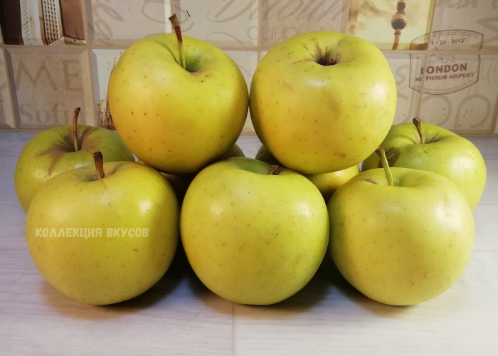 Пирог с яблоками рецепт