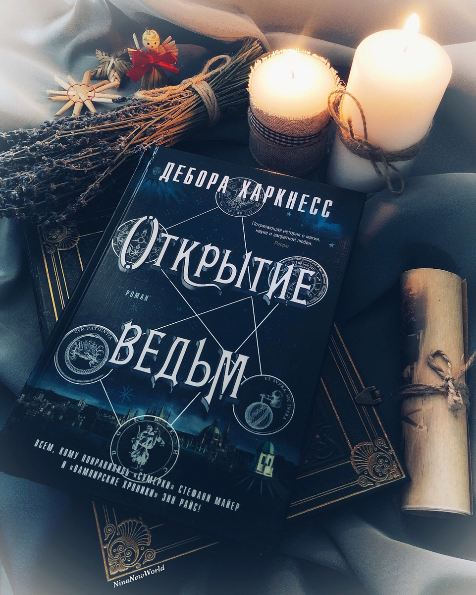 Изображение взято из открытых источников сети Интернет