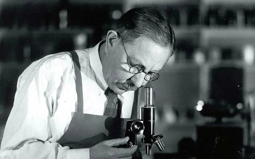 Фото: https://avatars.mds.yandex.net/get-zen_doc/3952637/pub_5f6c3e7e33542d669b12284b_5f6c5374d2daf865ccb303e8/scale_1200