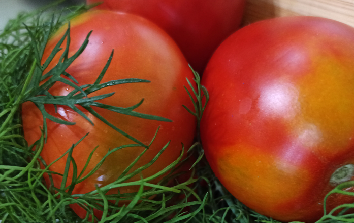 Ну какова красота? личный архив