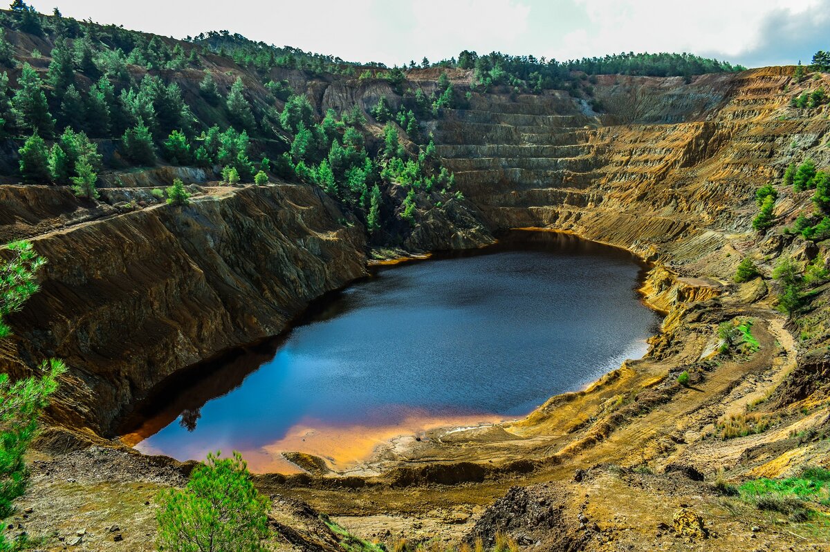 Изображение с Pixabay