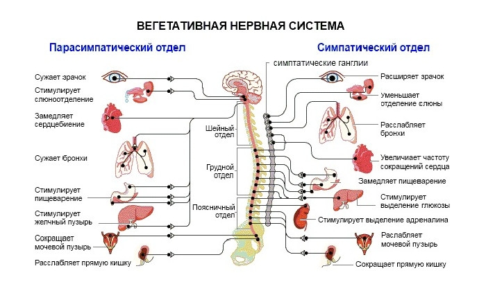 Упрощенная схема пВНС