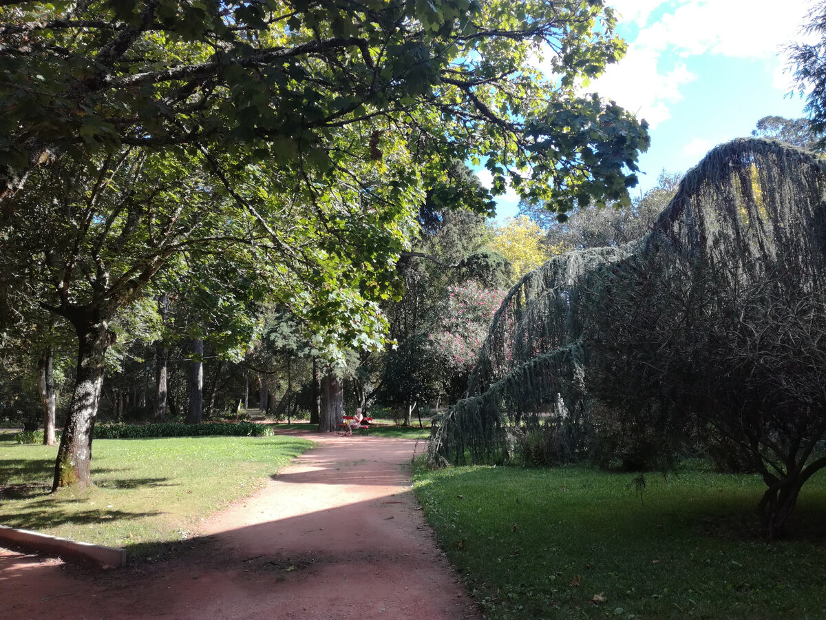 Parque D. Carlos I
