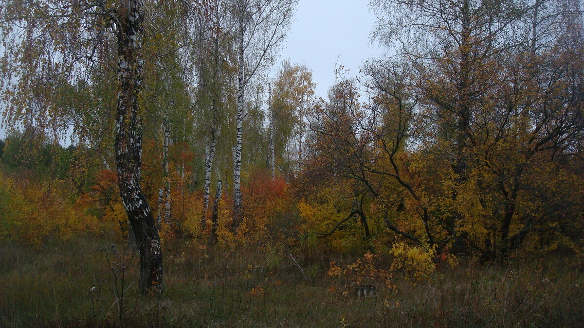 Корявые, но красивые