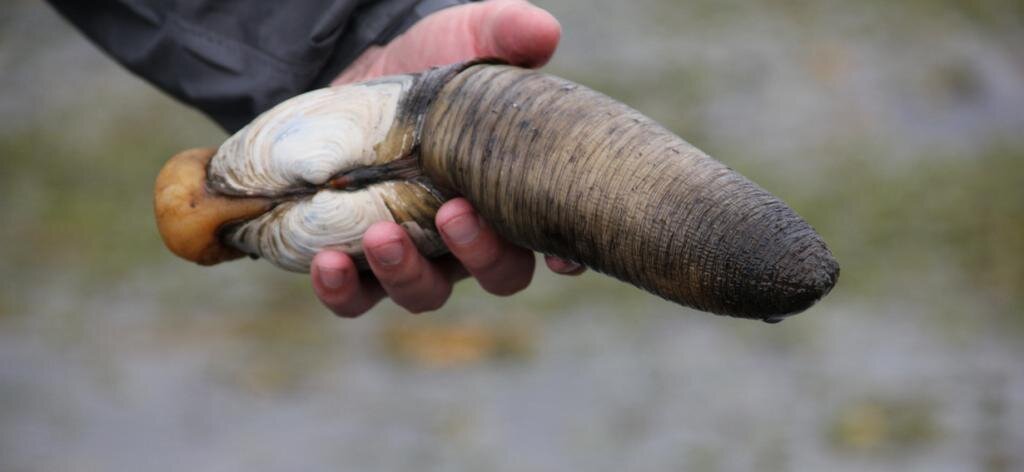 Источник: yandex.ru