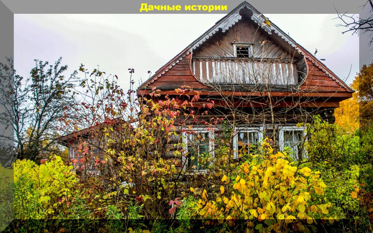 https://vk.com/photo-159774511_457249771