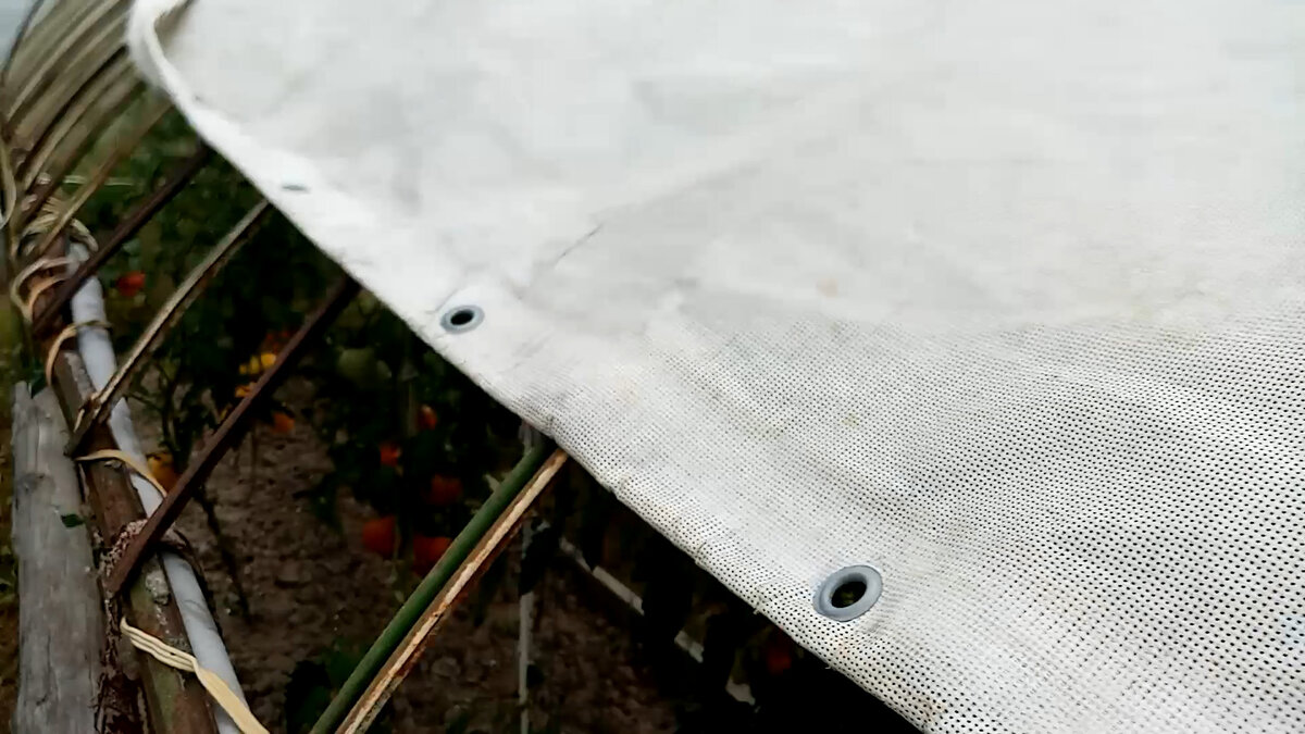 рекламный баннер укрывает томатную грядку