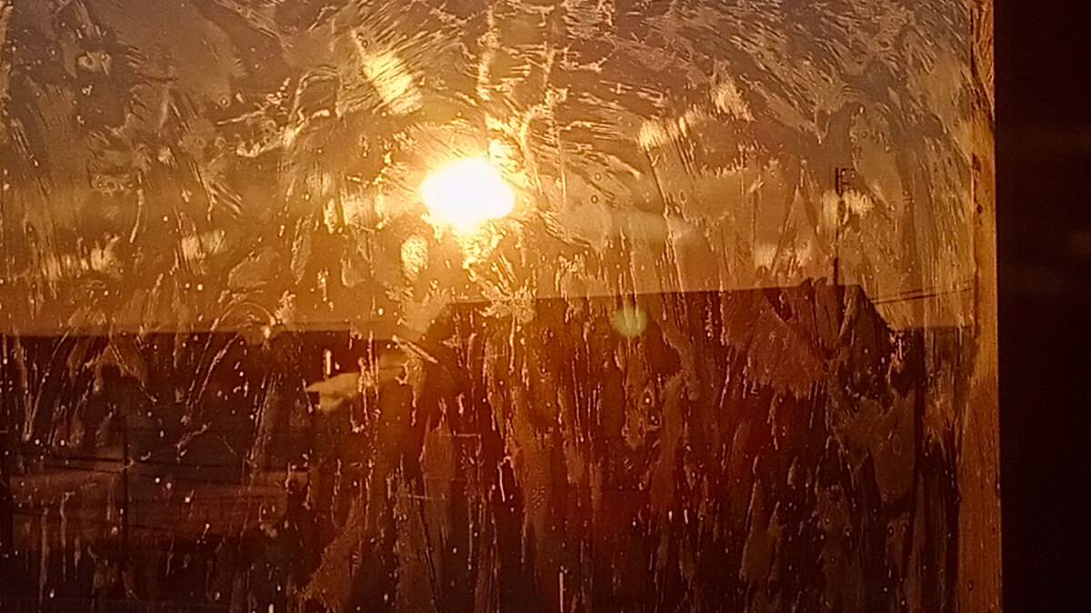 Зимнее солнце. Фото автора.