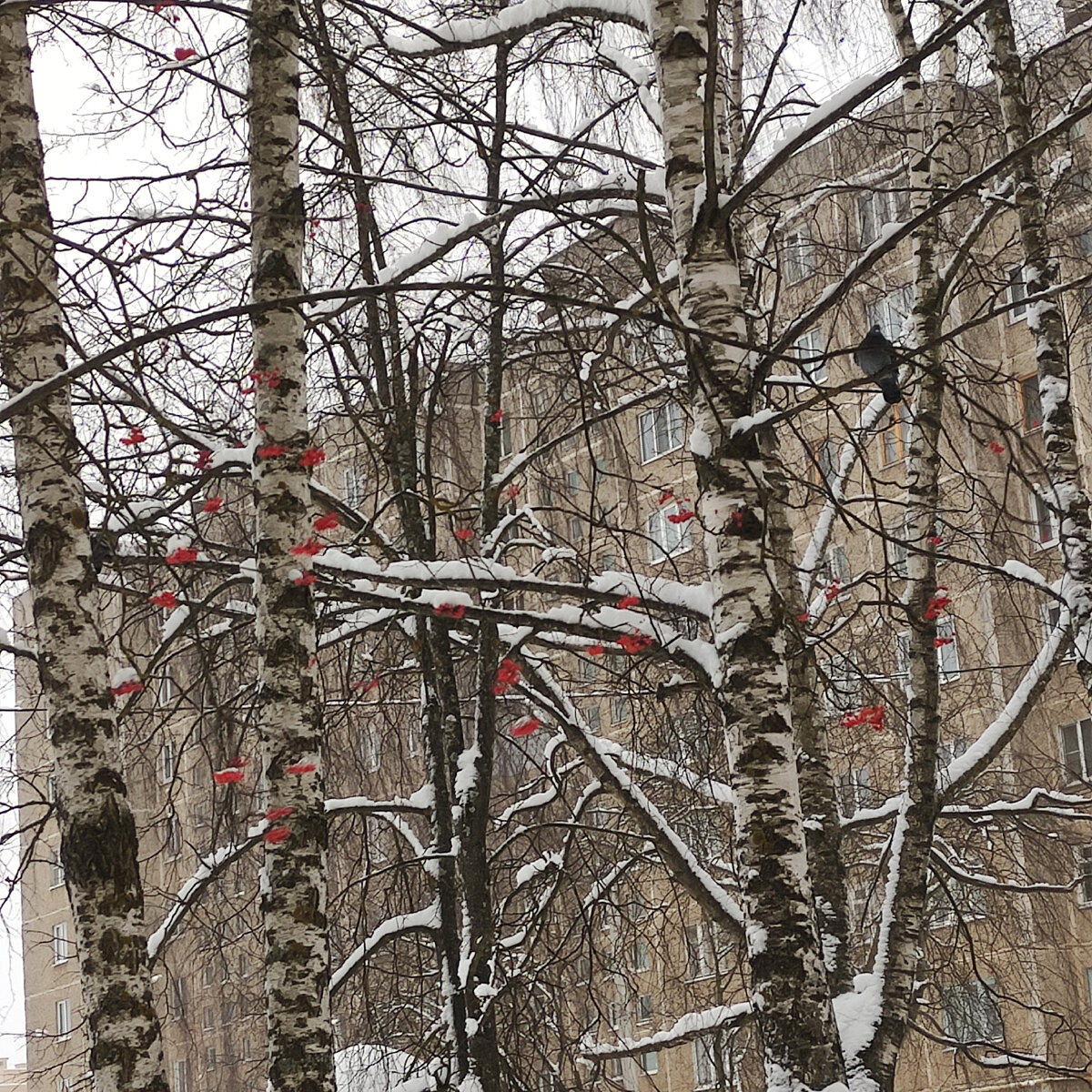 Красивую фотографию в ленту от меня)) 