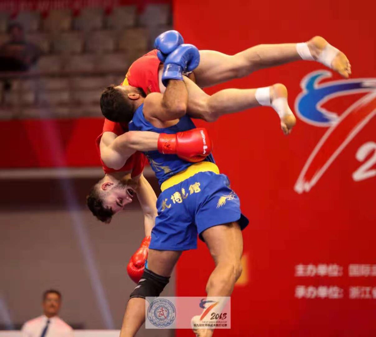 Кунг фу саньда