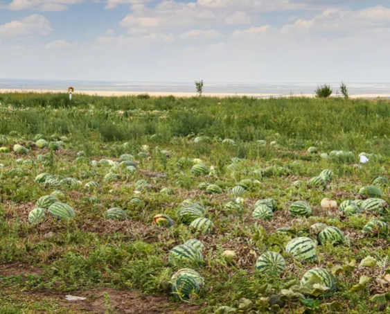 Фото взято в качестве примера к публикации из Яндекс Картинок
