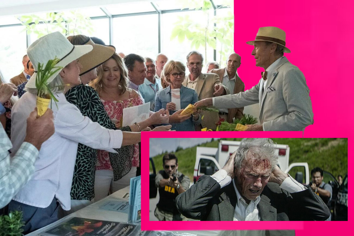 Яндекс картинки