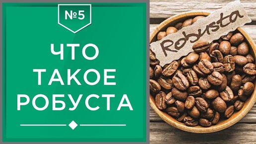 Робуста | Что такое кофе робуста, ее минусы и плюсы☕