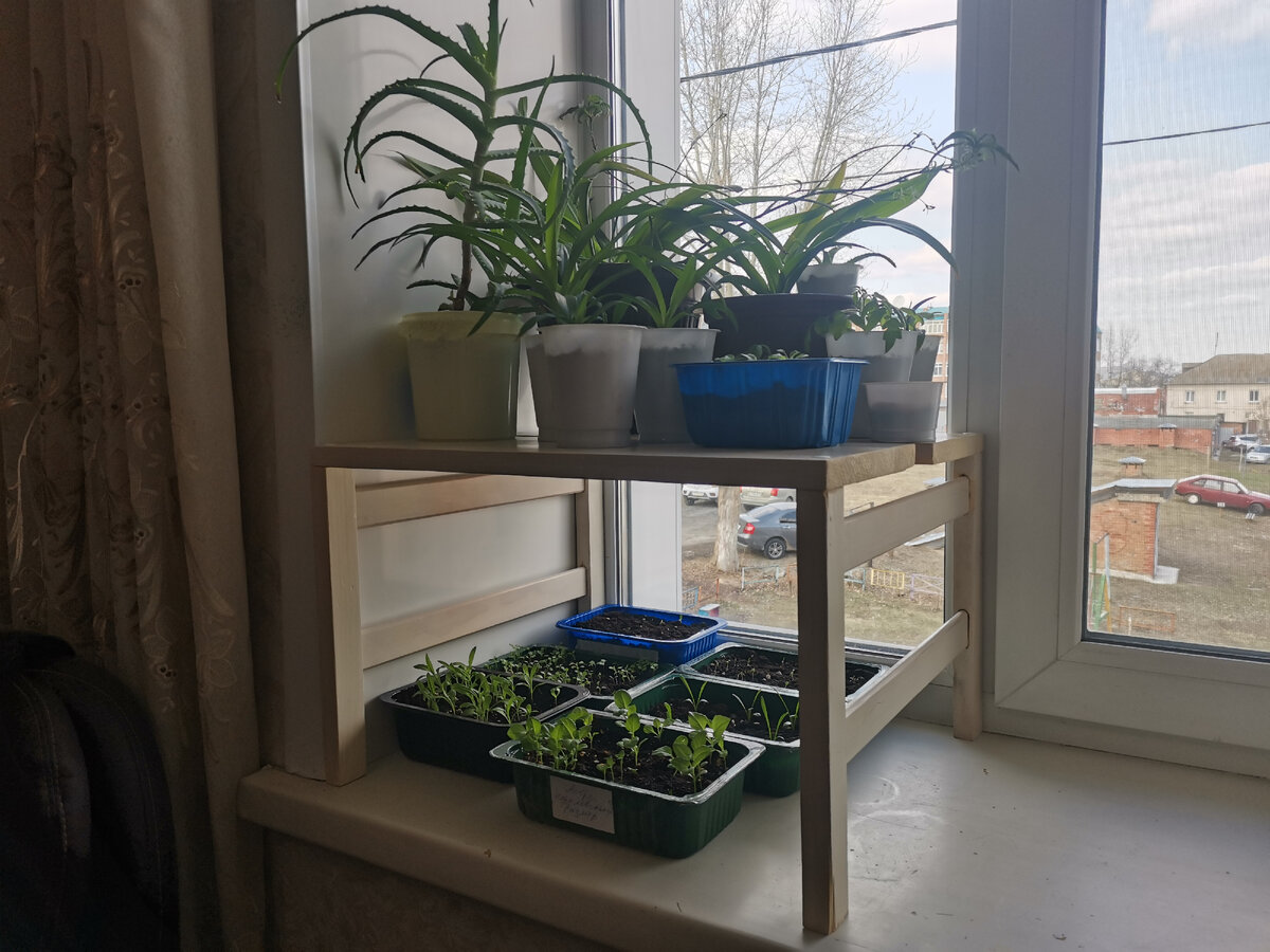 Стеллаж для рассады на окно из дерева своими руками. 