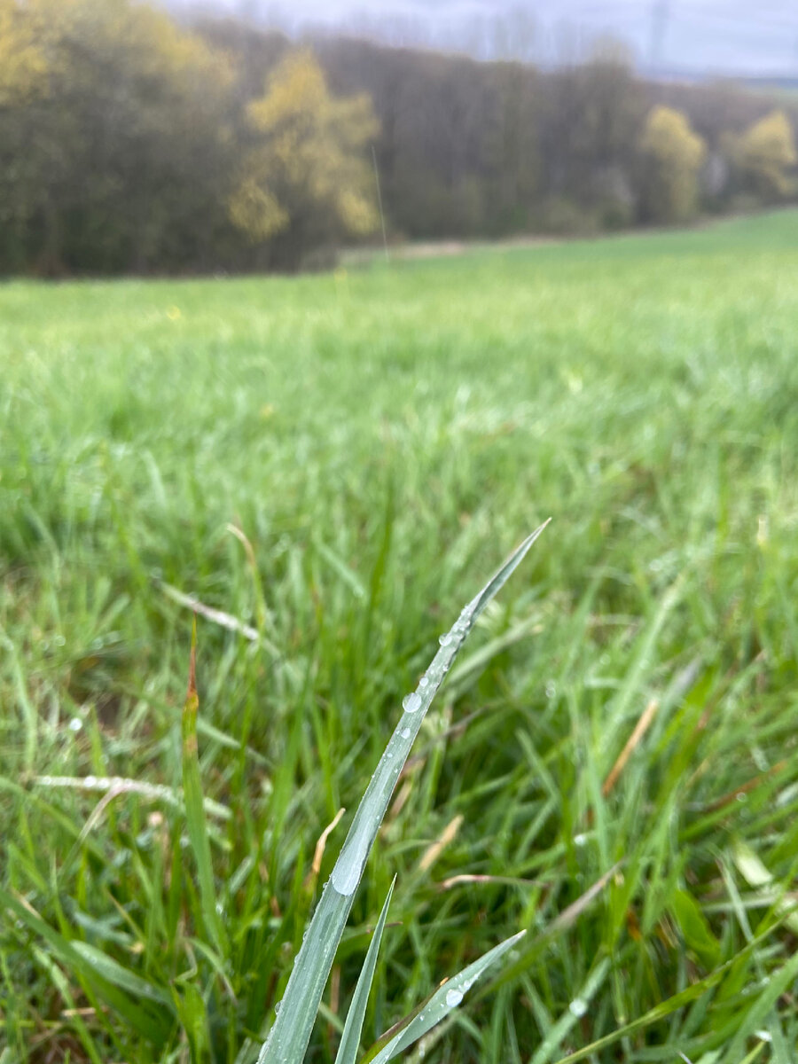 Красота в каплях