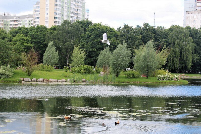 Фото ангарский пруд