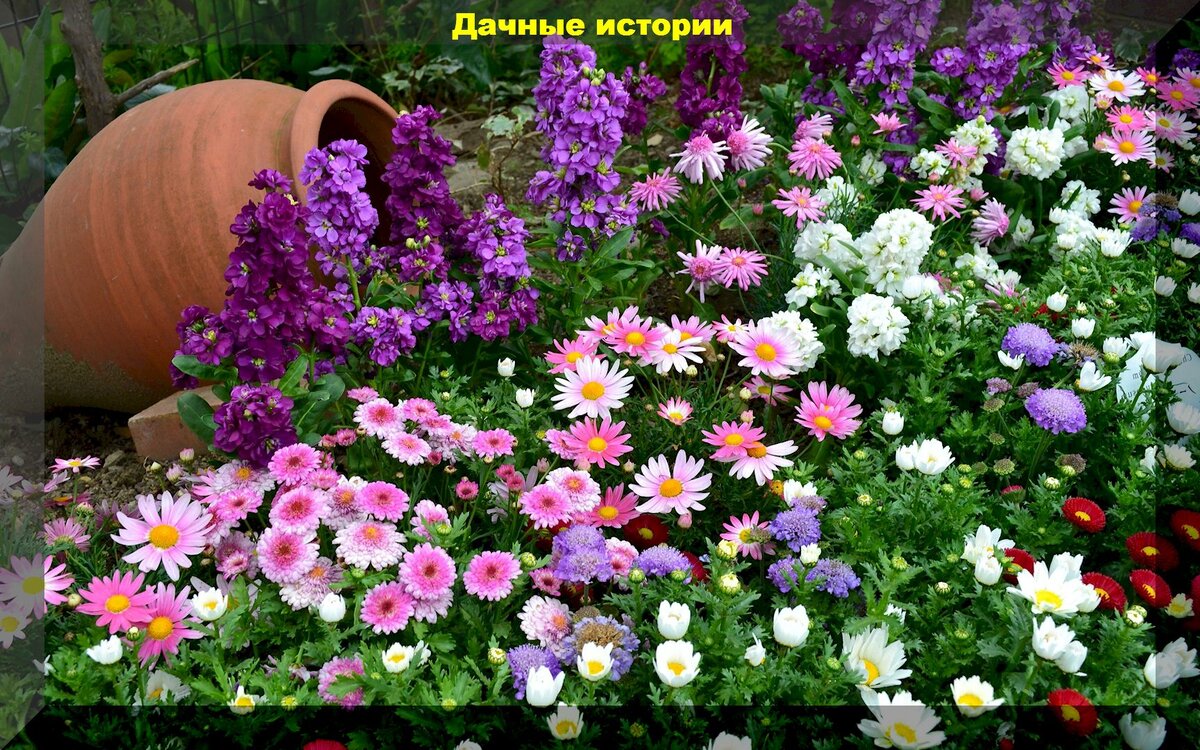 https://vk.com/photo-159774511_457254988