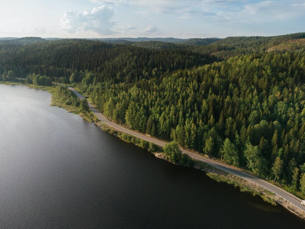© Фото Михаила Дементьева. Источник: https://unsplash.com/photos/green-trees-beside-river-during-daytime-mq0je_HLi9I