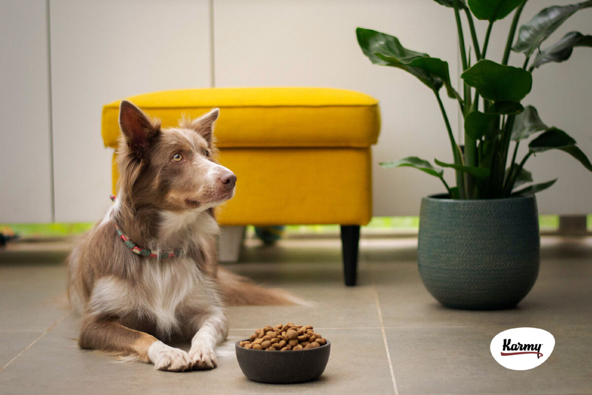 Авторское изображение с использованием картинки с фотостока "Unsplash" 