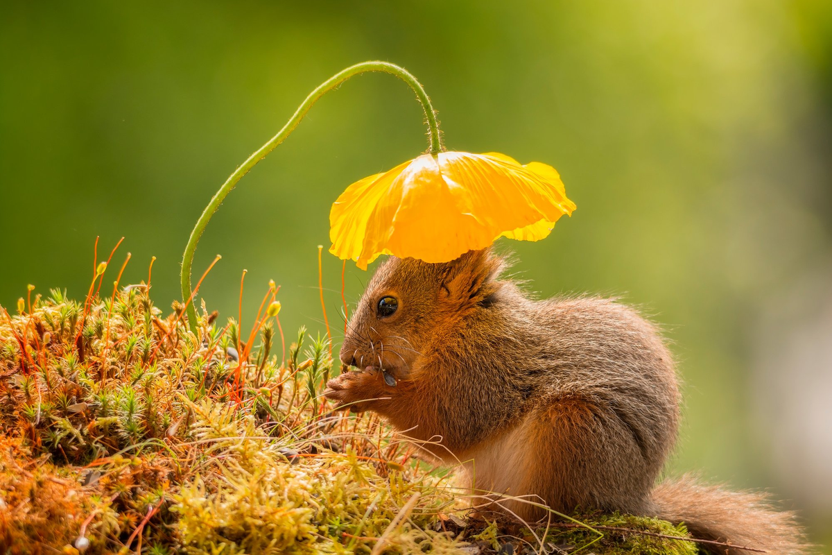 ©geertweggen.com