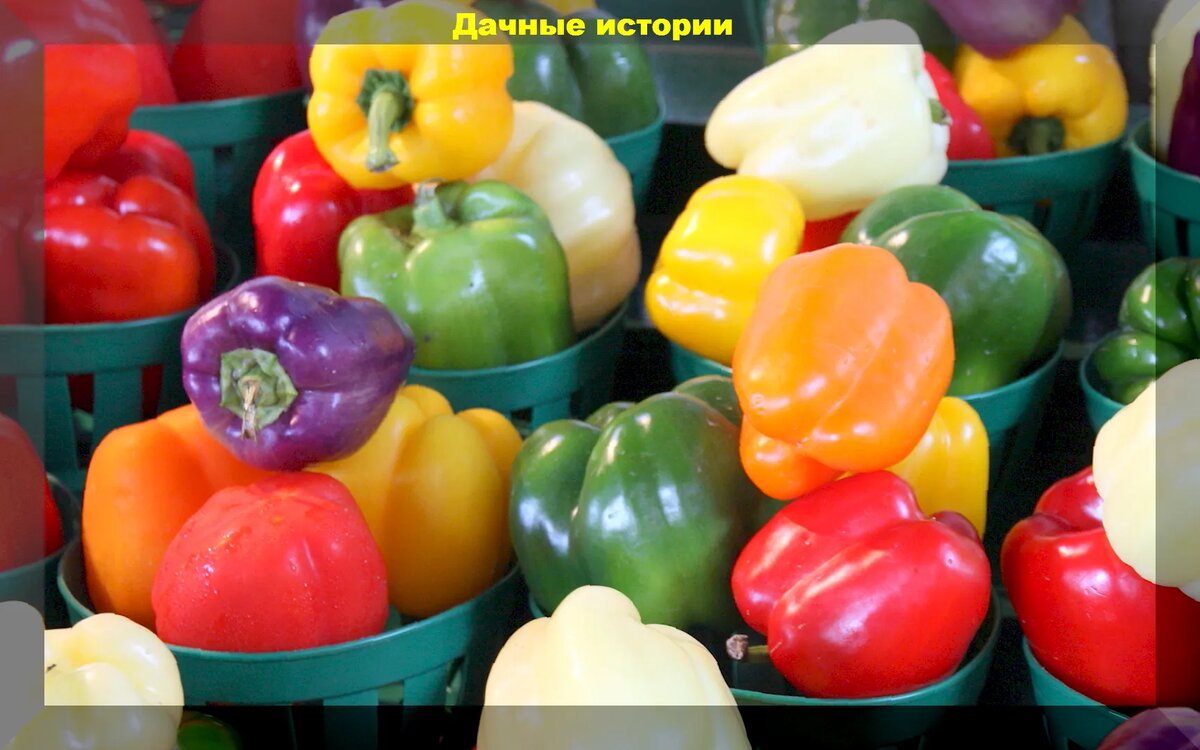 https://vk.com/photo-159774511_457255319