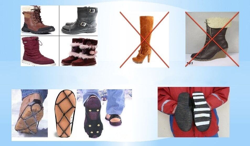 Фото из открытого источника