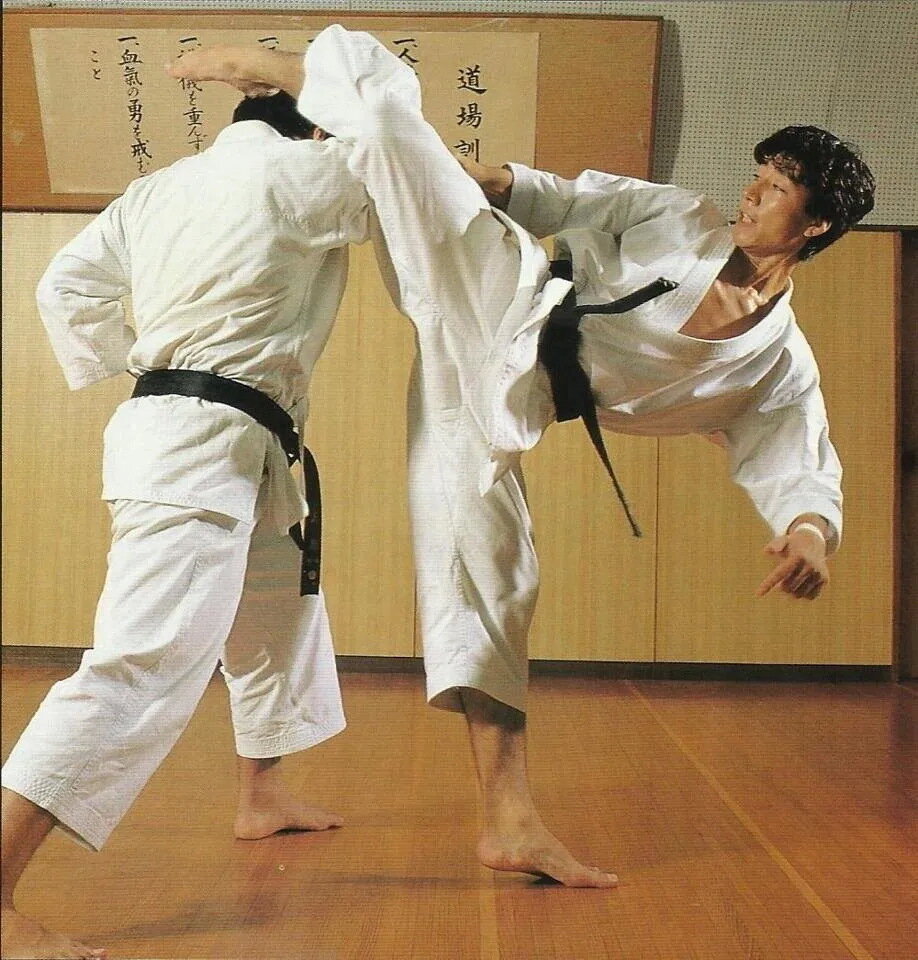 Karate WKF удары