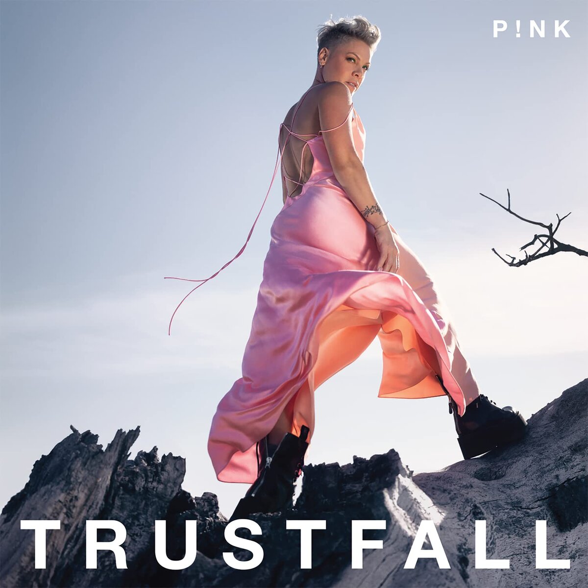 Обложка альбома "TRUSTFALL"