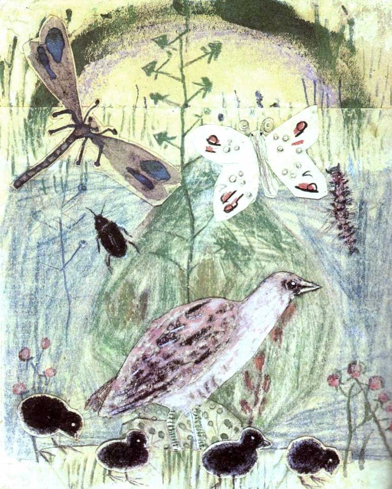 Бианки у кого дом лучше. Виталий бианки про птиц. Снежная книга бианки тырса. Иллюстратор молли брет. Бианки иллюстратор.