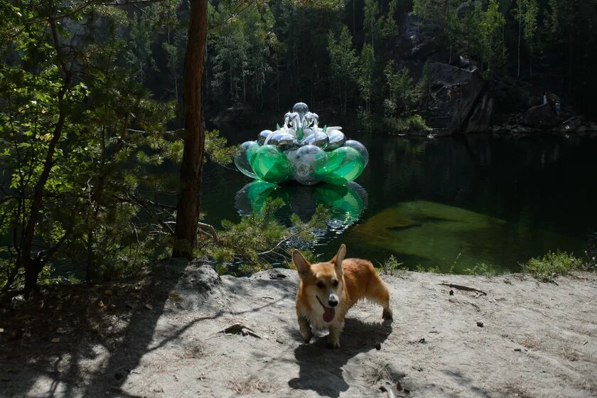 Листайте вправо, чтобы увидеть больше изображений