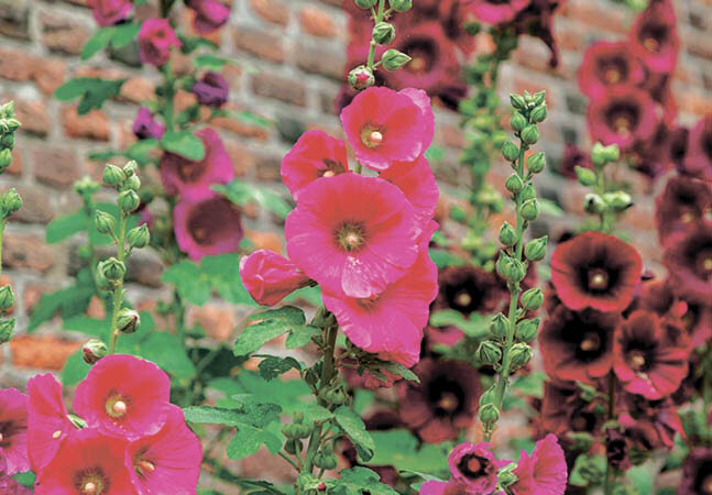 Фото: 10.stc.all.kpcdn.net