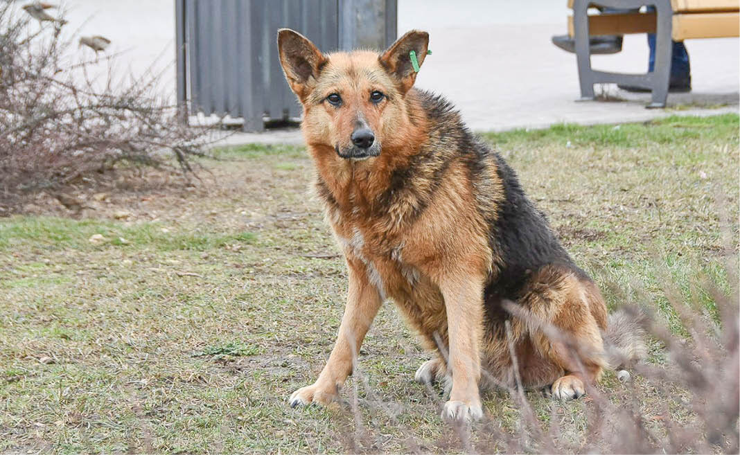Фото: Гала Амарандо