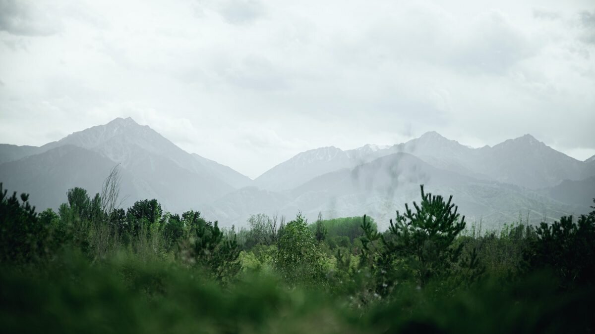    Фото: Unsplash Рашид Ахмежанов