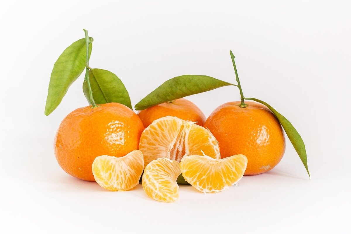 Фото: pixabay.com