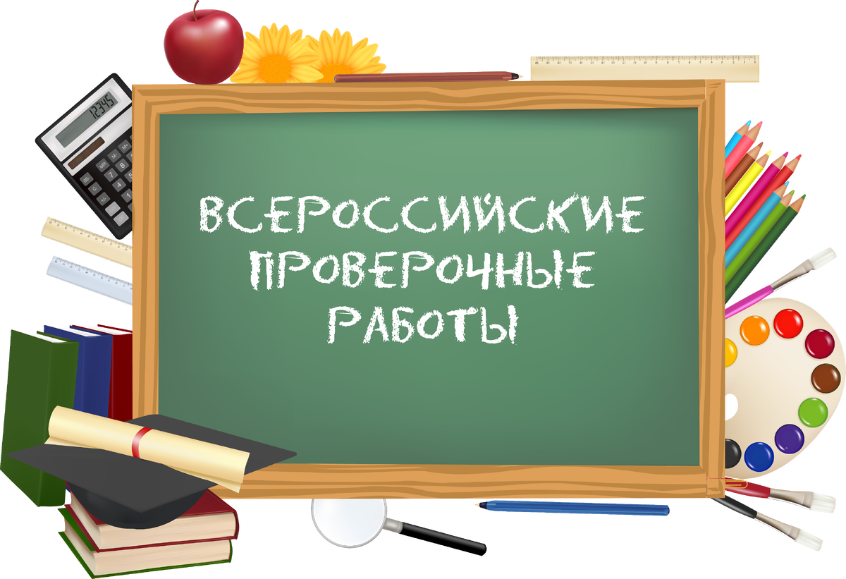 Недавно в спортивной школе отремонтировали раздевалку и заменили шкафчики