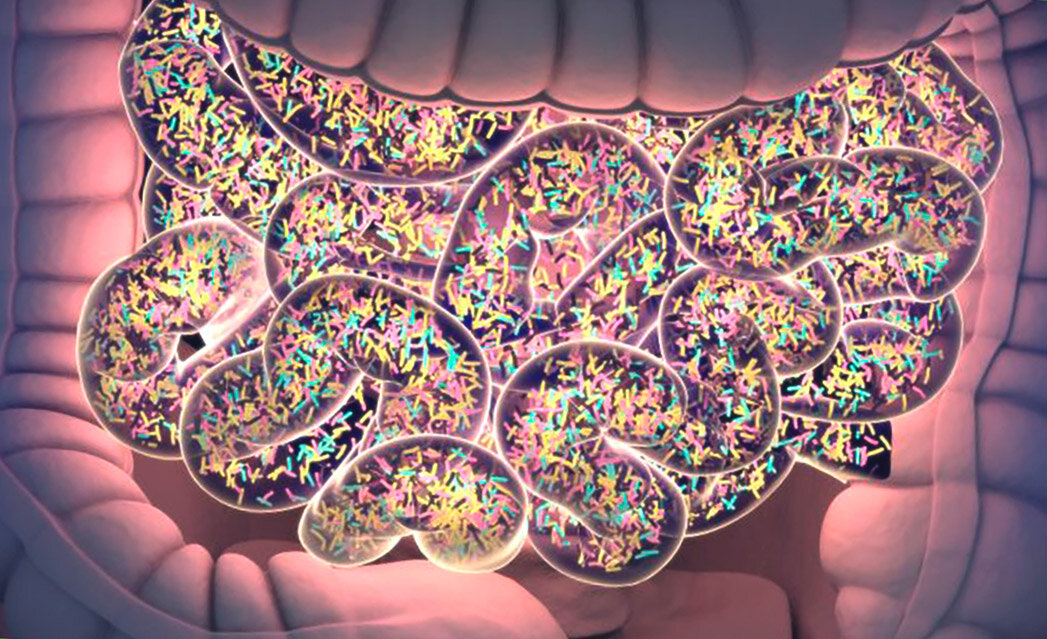 Микробиом. Микробиом (микробиота). Microbiome (gut) микробиом кишечника (16s). ASD микробиом. Jane Foster микробиом.