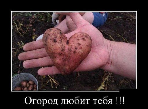 Ответь ему взаимностью.