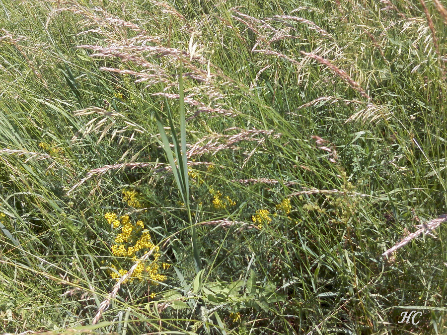 Фото Нины Стрелковой.