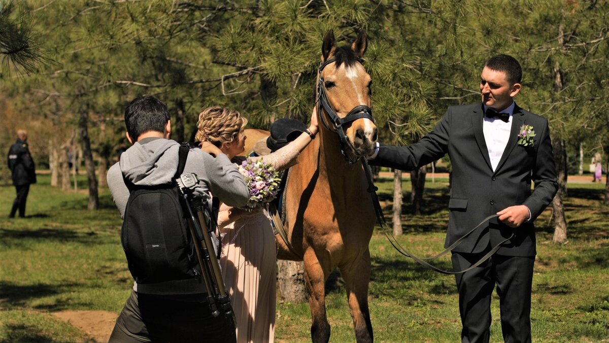Полицейские дружелюбно предоставили служебных лошадей для фото. 