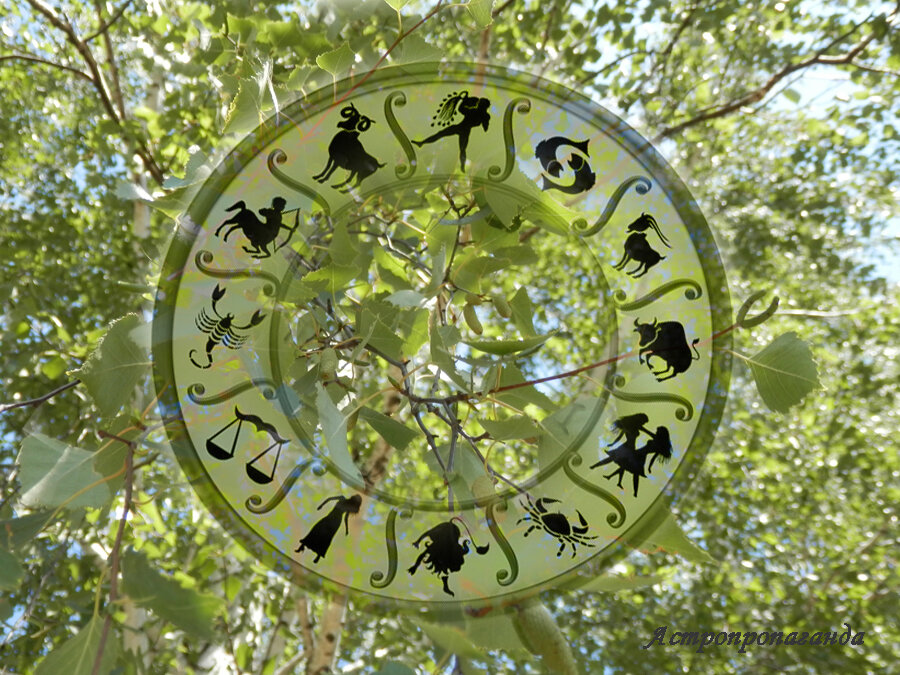 Коллаж Нины Стрелковой. 