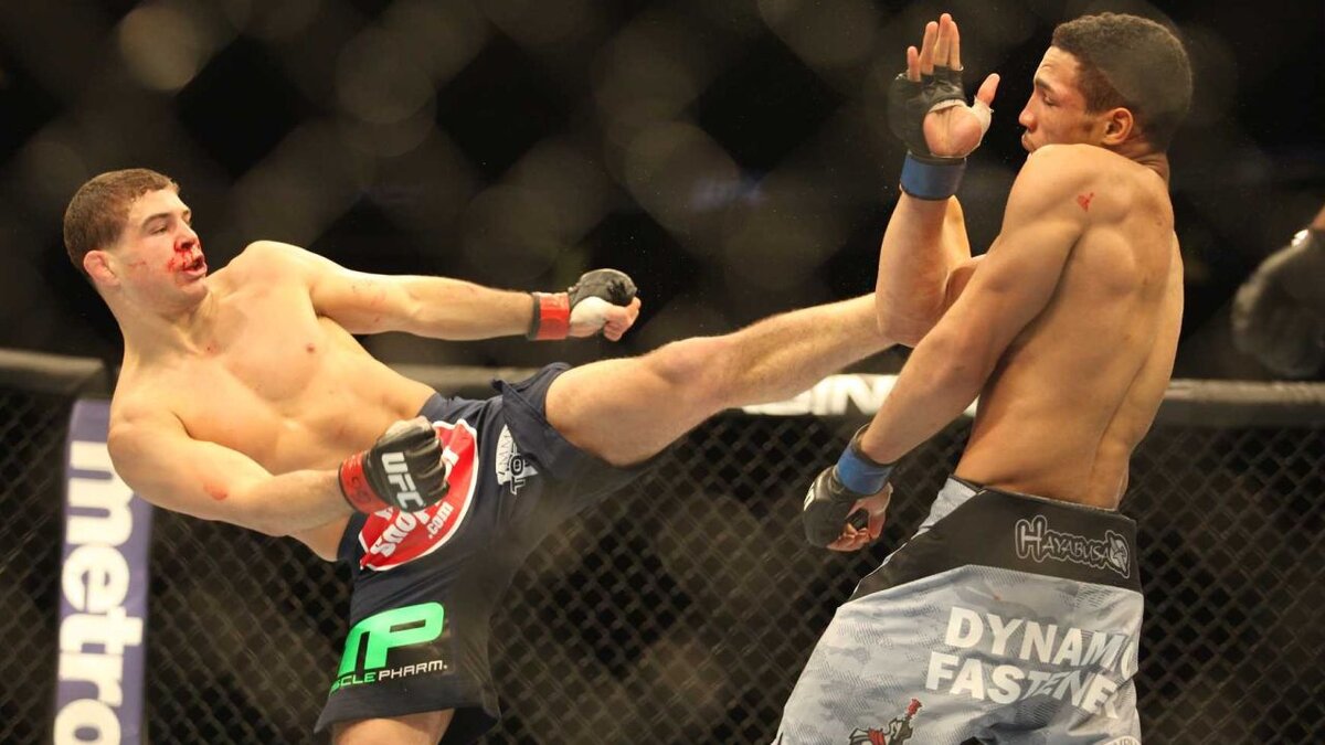 Wantagh's Al Iaquinta to fight at UFC 173 Newsday  www.newsday.com 