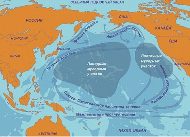 Его уже окрестили Великим мусорным материком. Карта взята с сайта http://tkso.ru/