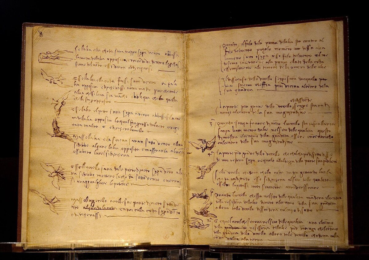 Леонардо да Винчи, Кодекс о полёте птиц, 1505, Королевская Библиотека Турина. Фото: artips 