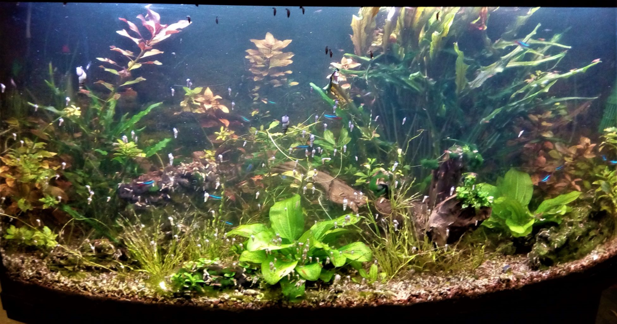 Приблизительно так было до 12 декабря 2018 г. Фото автора.